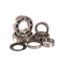 REBAJAS Kit rodamientos caja de cambio Hot Rods