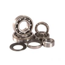 REBAJAS Kit rodamientos caja de cambio Hot Rods