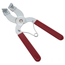 REBAJAS Pinza de segmento Buzzetti PINZA DEL SEGMENTO