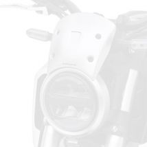 REBAJAS Deflector de viento Ermax 19 cm