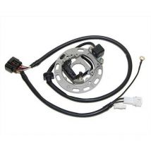 REBAJAS Estator de encendido Electrosport