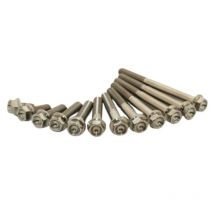tornillo Scar 4 x Titanio HEX M8 x 35