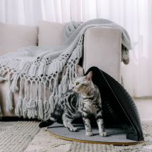 Tente noire pliable pour chat en carton - Lioni
