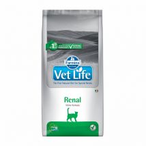 Farmina Vet-Life Feline Formula Renal - 400 g