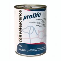 Prolife Recovery Veterinary Formula per Cane e Gatto - 400 g, 6 pezzi