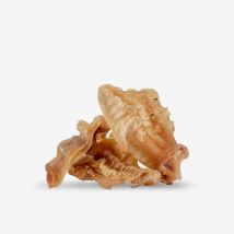 Crudité Orecchie di Scottona Romagnola Senza Pelo - 2 pz