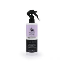 Always Your Friend Spray Districante - 300 ml