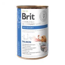 Brit Veterinary Diet Recovery Salmone per Cani - 400 g, Singola