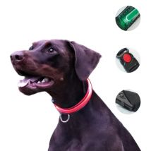 Petty Italia Collare Nylon Led per Cani - L