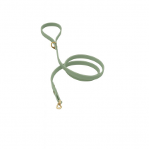 Pet Cherie Classic Biothane Lead/Gold Foggy Green - S