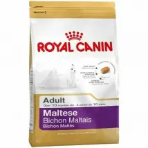 Royal Canin Adulte Maïs Oiseaux