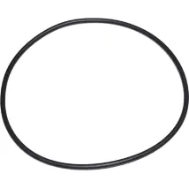 Lagostina Joint de cuve pour autocuiseur - 240 mm