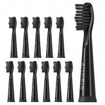 Ailoria Têtes de brosse FLASH TRAVEL - Lot de 12