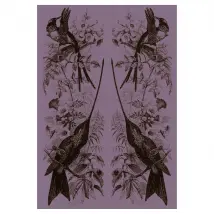 Beneffito Nature Poster - Birds
