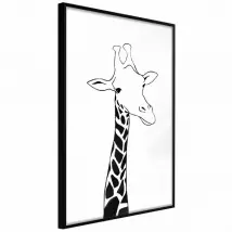 Black and White Giraffe - Noir