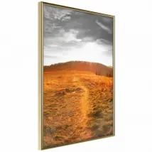 Prairie - Or