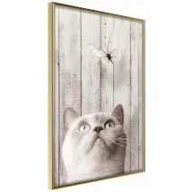 Piercing Look - 20x30 cm Or