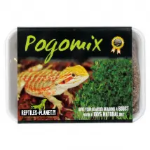 Reptiles Planet Pogomix