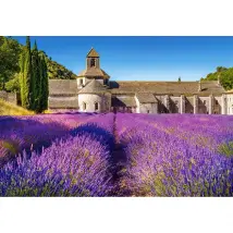 Castorland Lavender Field Puzzle 1000 pcs