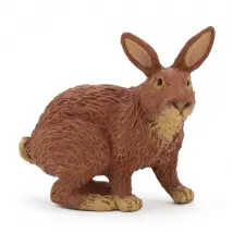 PAPO Lapin Marron