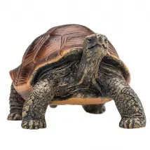 Mojo Figurine tortue géante - Animaux