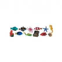 Tubo la Barrière de Corail
