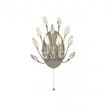Searchlight Peacock