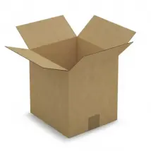 Raja Carton d'emballage - 23 x 21 x 24 cm