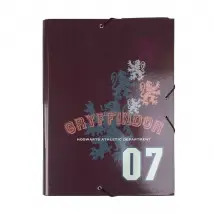 Dossier Harry Potter Gryffindor