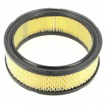 BriggsStratton Filtre à air 394018s