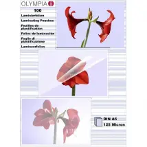 Olympia Feuilles A6