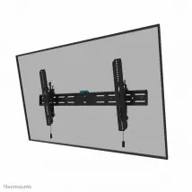 Neomounts 12597273000