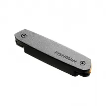 Fishman PRO-NEO-D01