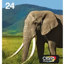 Epson Multipack Eléphant-Claria Photo HD
