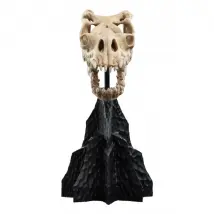 Le Seigneur des Anneaux - Statuette Skull of a Fell Beast 21 cm