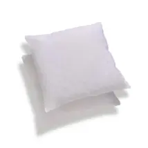 Lot de 2 oreillers Anti-transpiration