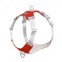Harnais réflecteur - Rouge - M
