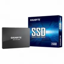 Gigabyte GP-GSTFS31256GTND