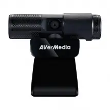 AVerMedia PW313