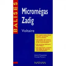 Zadig et Micromégas, Voltaire
