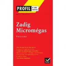 Zadig (1748) et Micromégas (1752), Voltaire