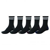 Lot de 5 chaussettes Globe Carter Crew