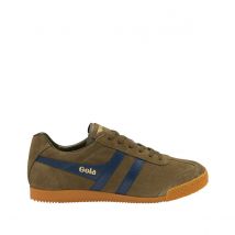Baskets Gola Harrier