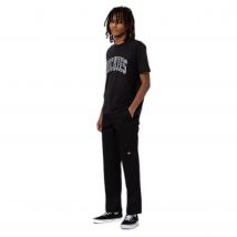 Pantalon slim Dickies Slim Double Knee Rec