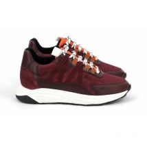 Sneakers femme Piola Ica