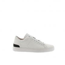 Baskets basses Blackstone