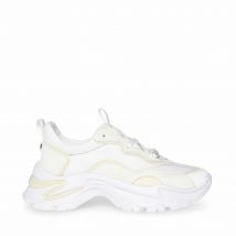 Baskets femme Steve Madden Manerva