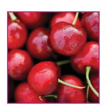 Sihl TriSolv White Gloss