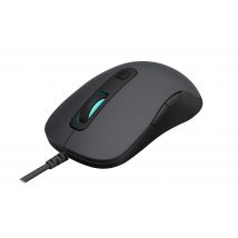 Rapoo N3610 mouse Office Right-hand USB Type-A Optical 1000 DPI