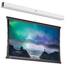 Da-Lite DescenderPro projection screen 2.48 m (97.6&quot;) 16:10